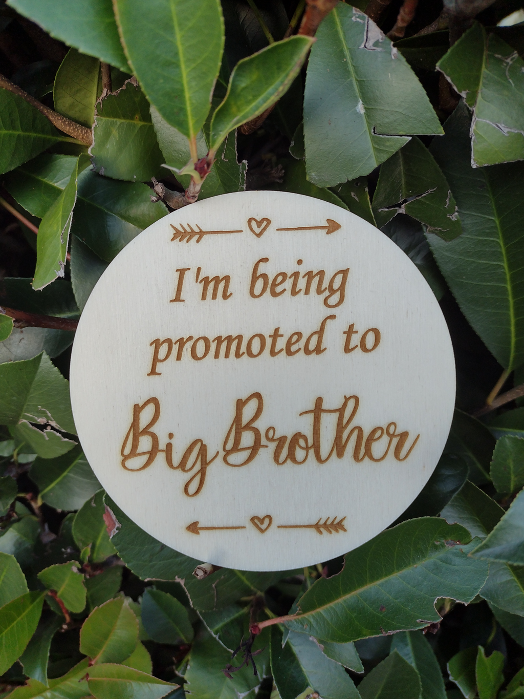 Promoted to big brother - Craftyroo