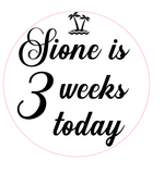 Load image into Gallery viewer, Personalised Baby Week - Month Milestone Discs Double Sided
