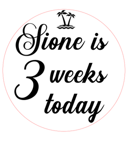 Personalised Baby Week - Month Milestone Discs Double Sided