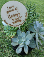 Load image into Gallery viewer, Personalised Plant Stick For Her
