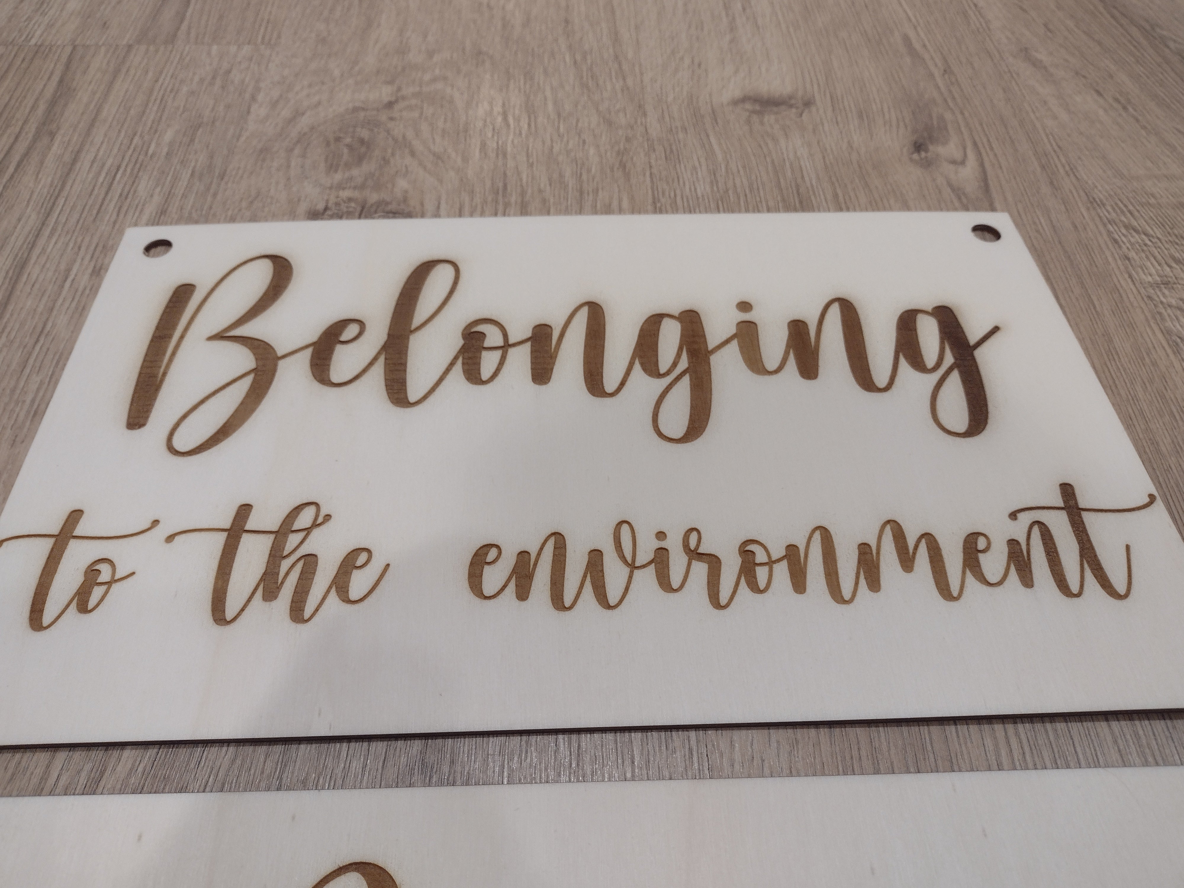 Belonging, Being, Becoming Signs