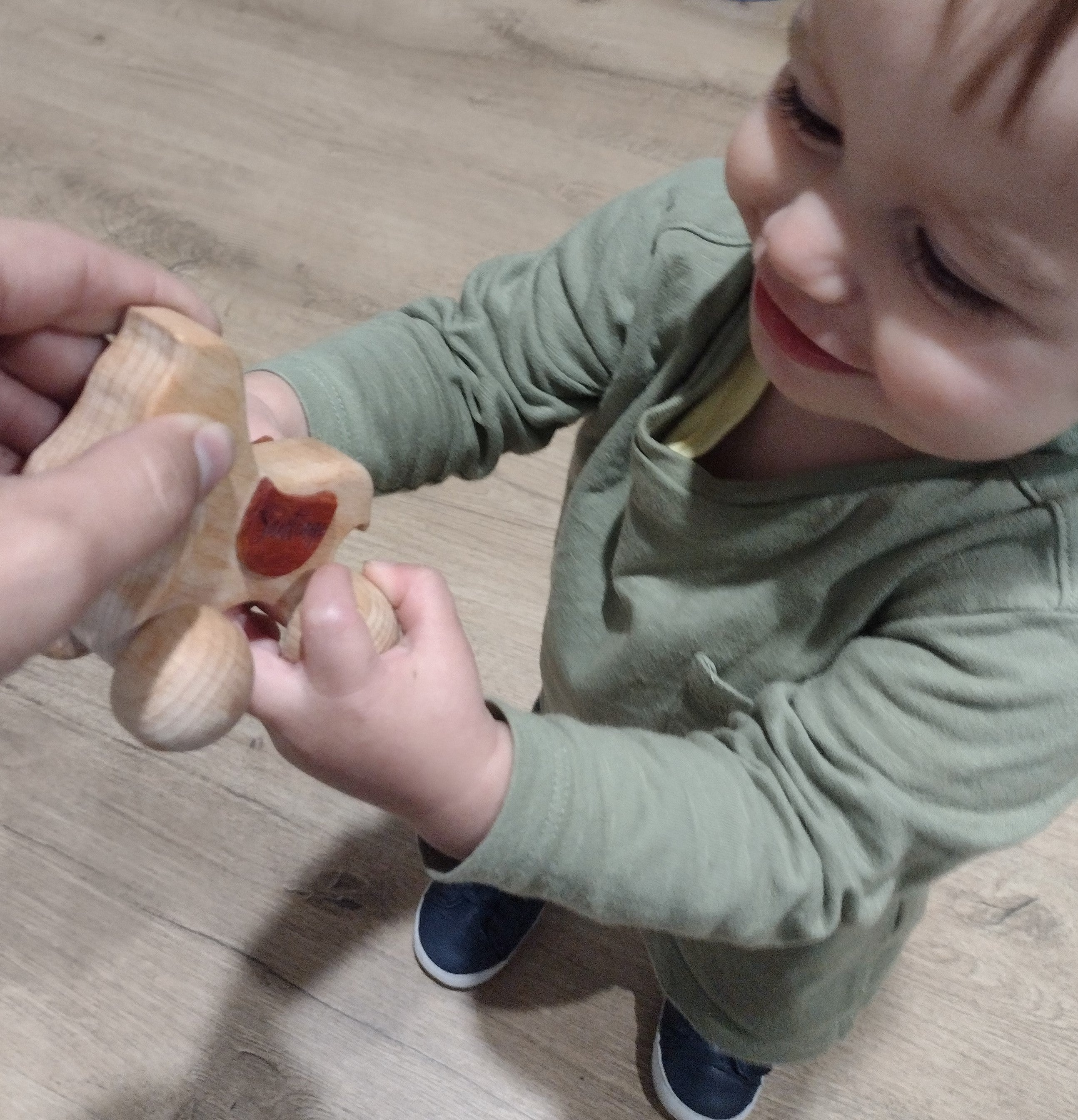 Montessori Wooden Baby Horse Toy